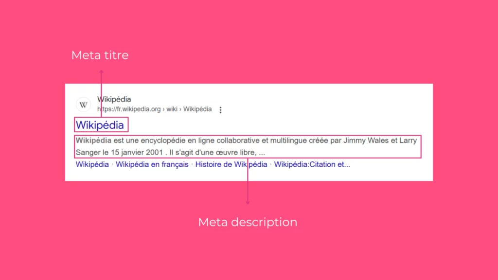 Capture d'écran d'un balisage : meta titre et meta description