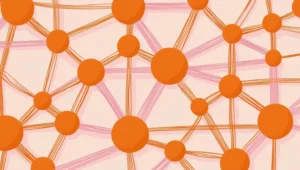 représentation du netlinking