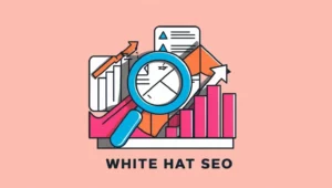 loupe bleu graphique seo et web - white hat seo